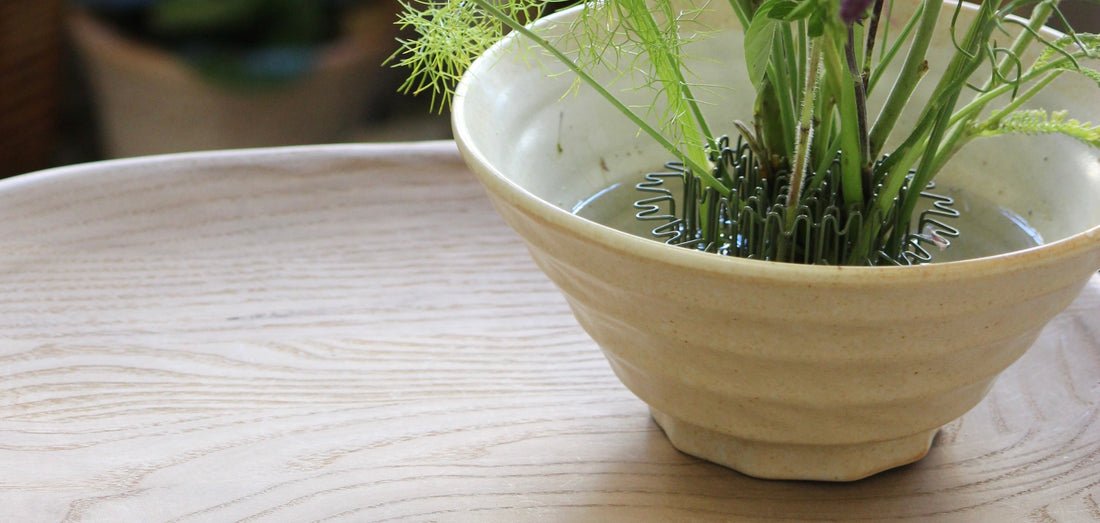 Discover Sustainable Hairpin Flower Frogs