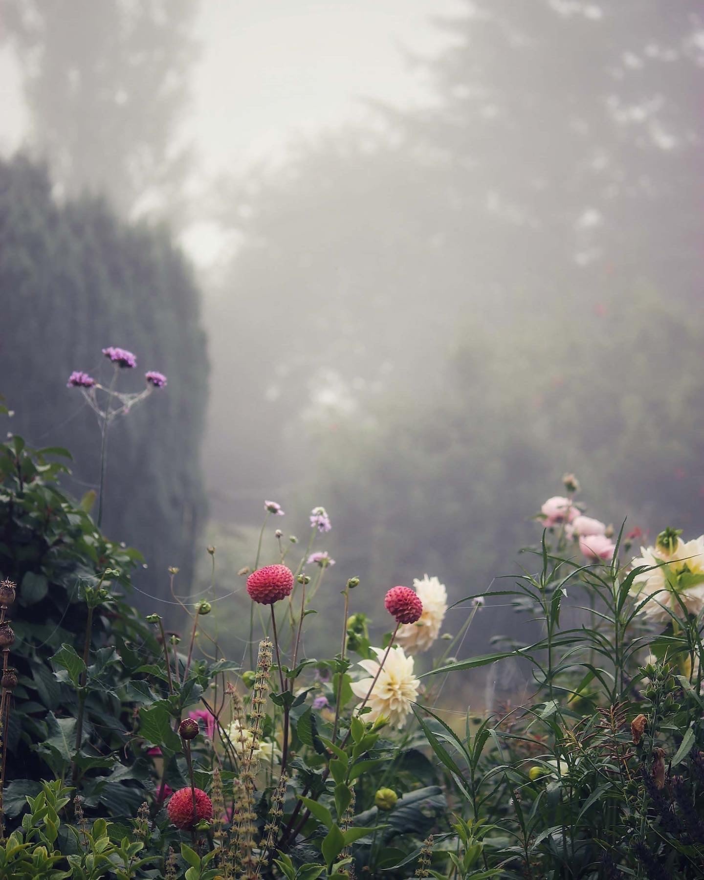 Flowers In The Mist Print Triptych