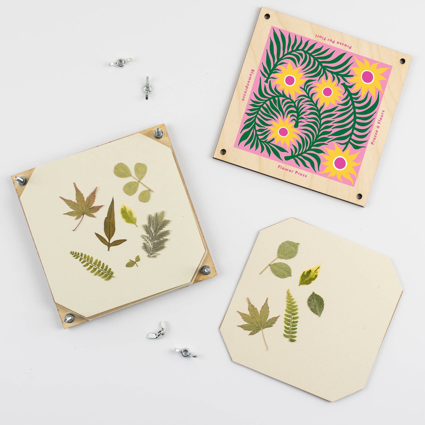 Flower Press - Teasel