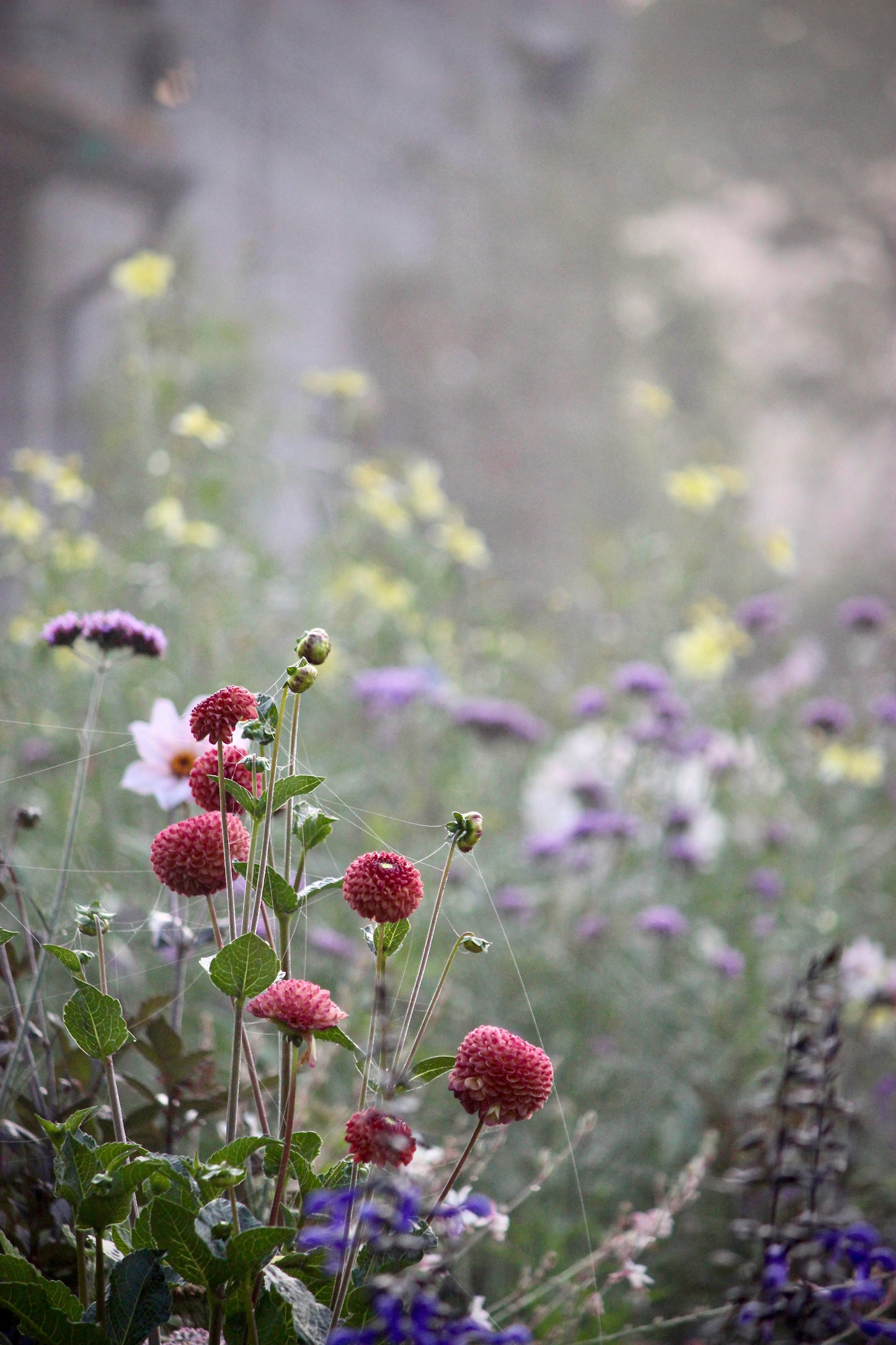 Flowers In The Mist Print Triptych