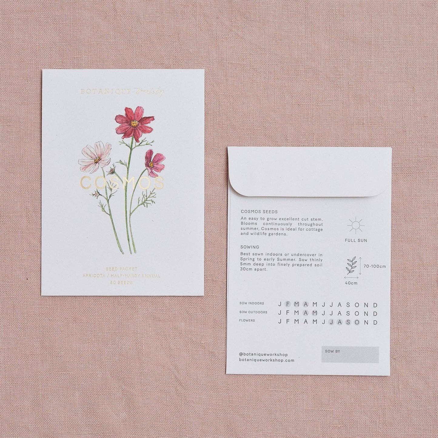 Floral seed packet and envelope on a textured pink background