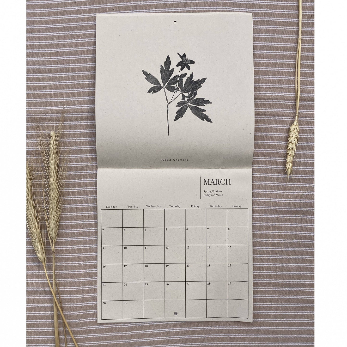 2026 Botanical Art Wall Calendar