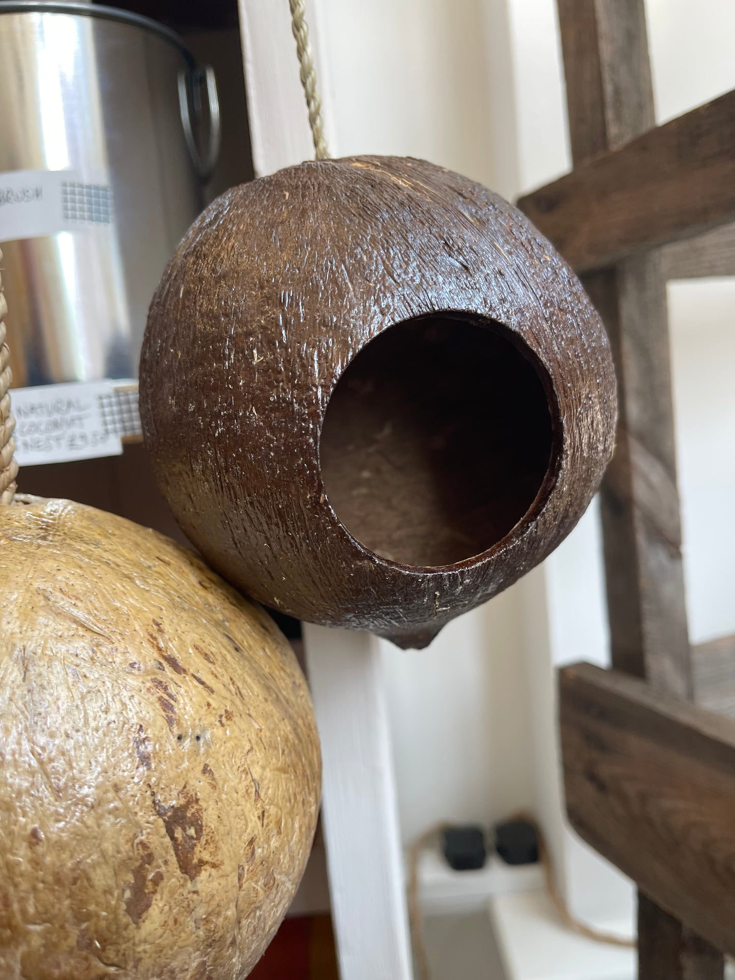 Natural Coconut Nest