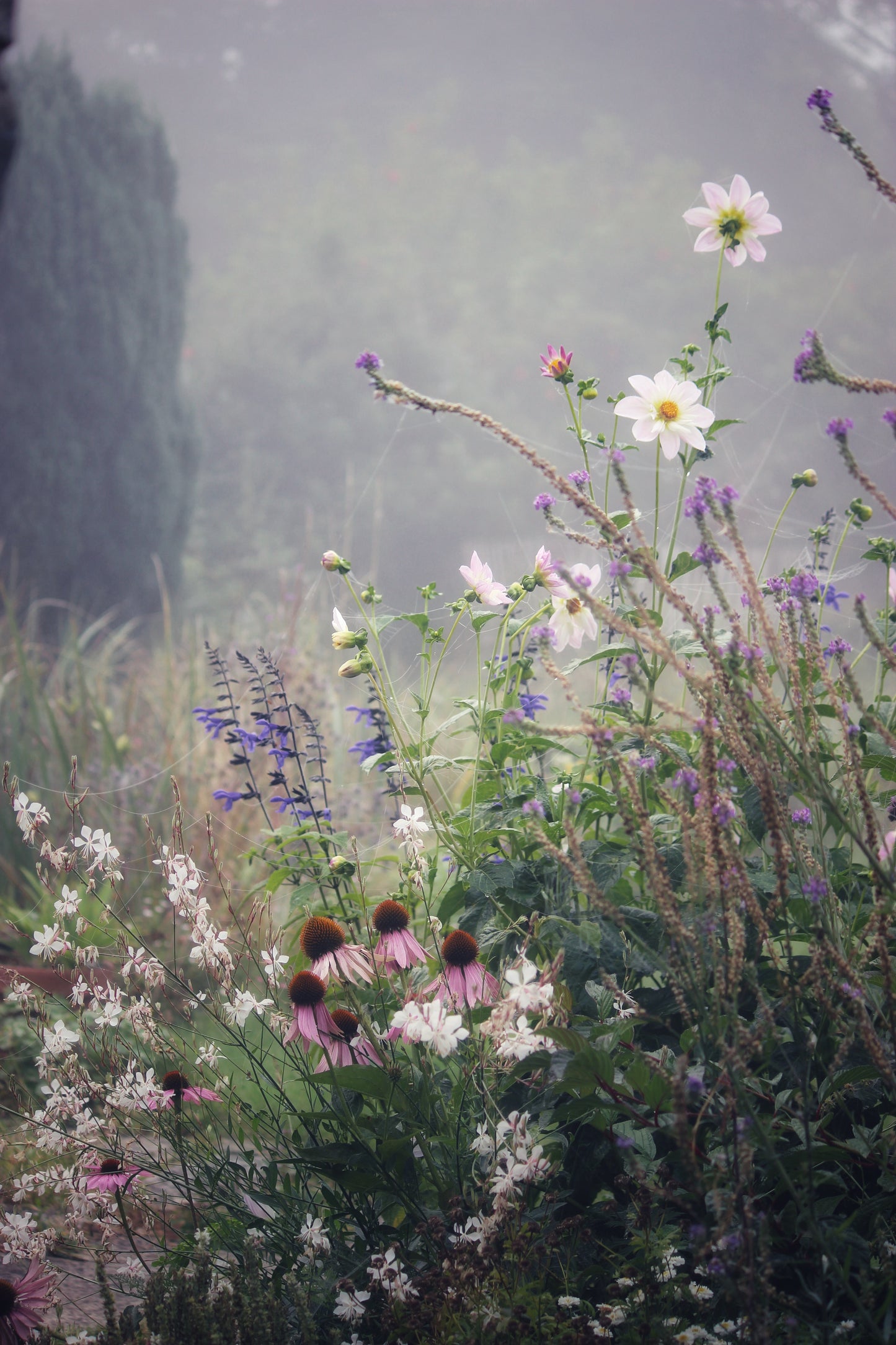 Flowers In The Mist Print Triptych