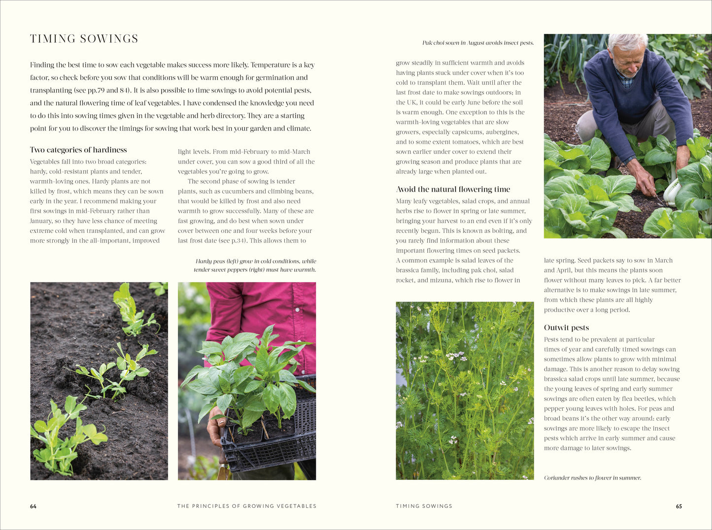 No Dig by Charles Dowding (Hardback)