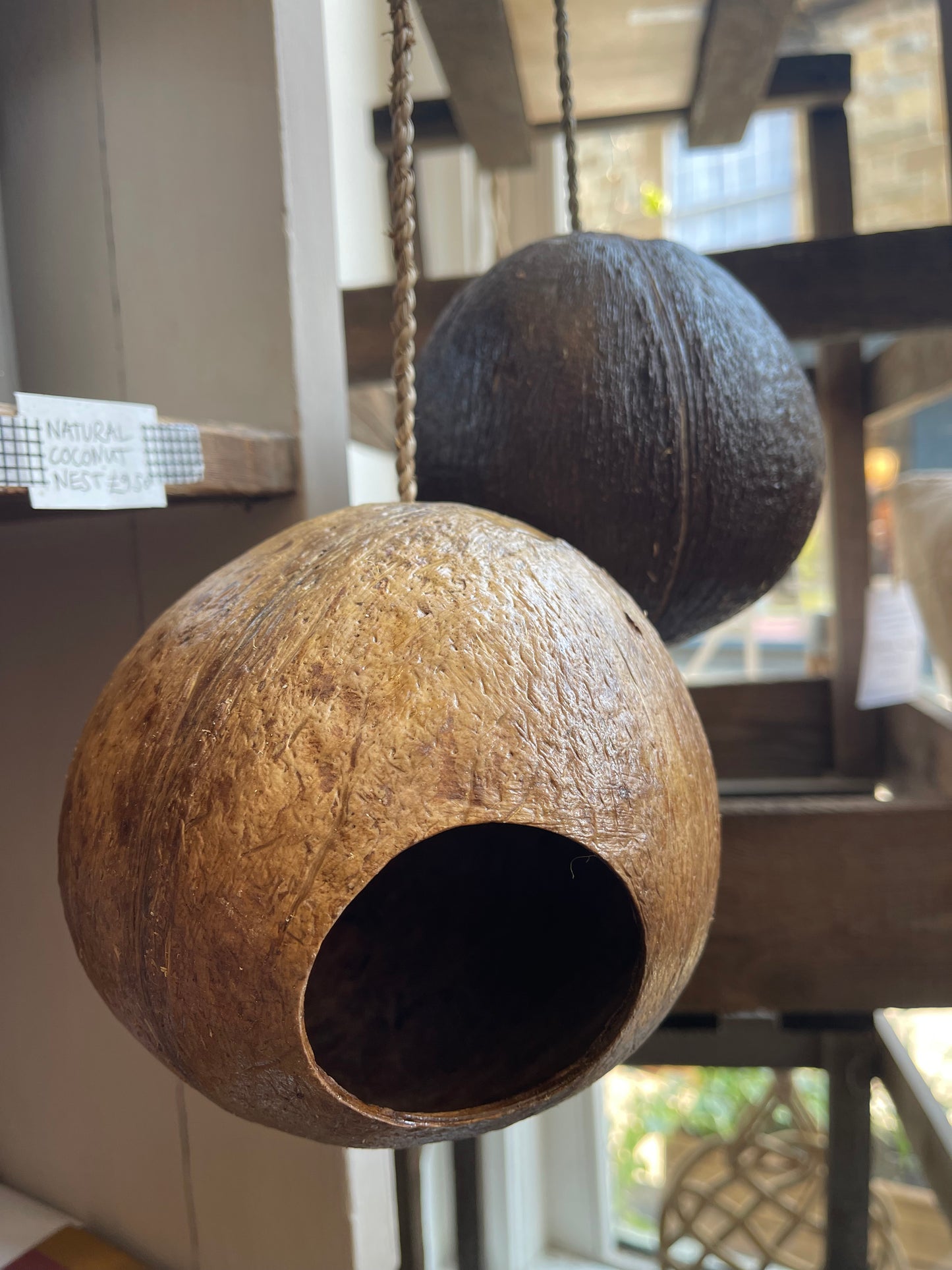 Natural Coconut Nest