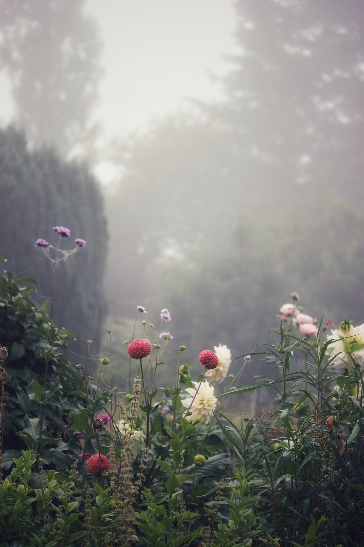 Flowers In The Mist Print Triptych