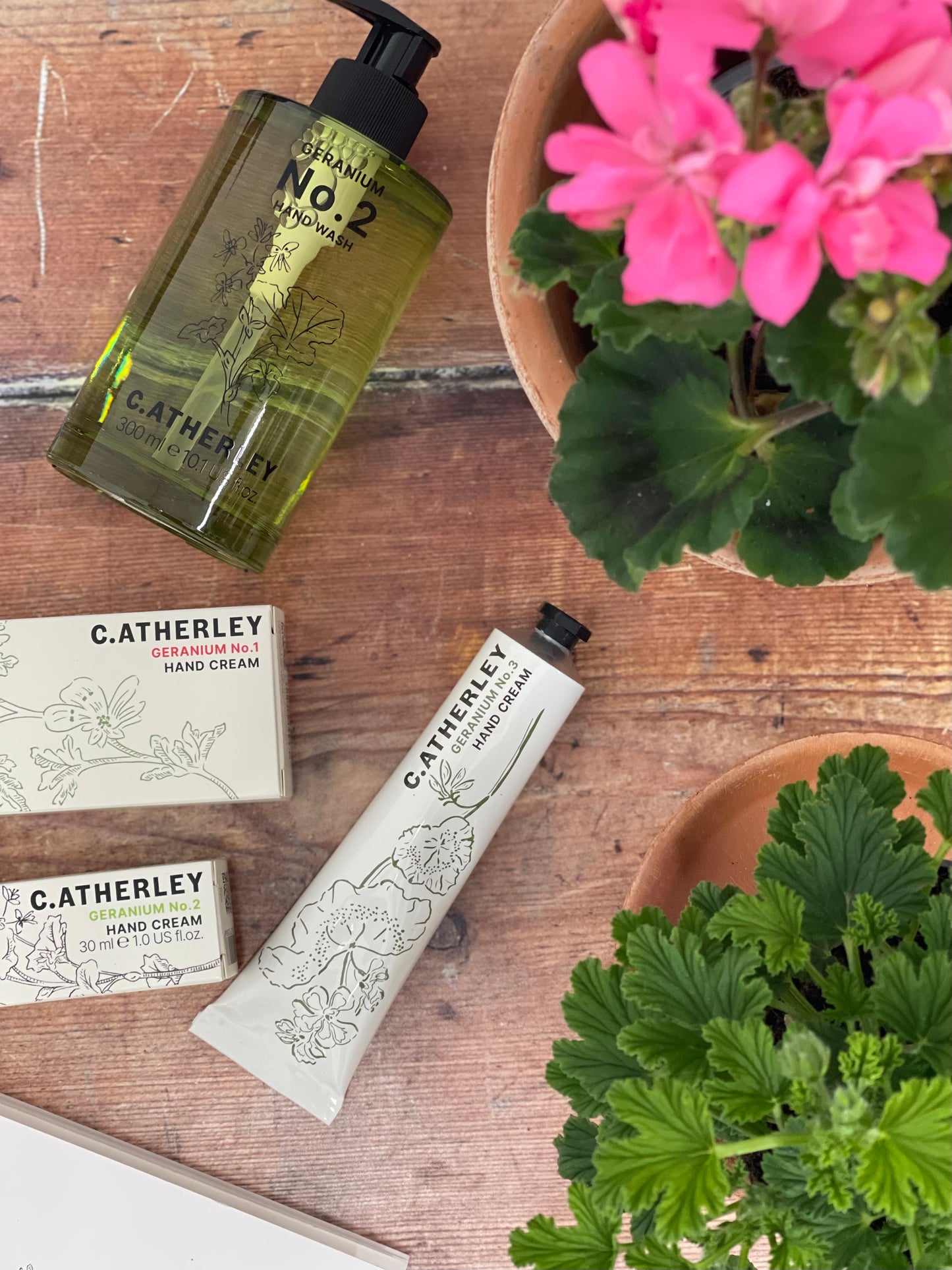 Catherley skincare products on a wooden surface with plants