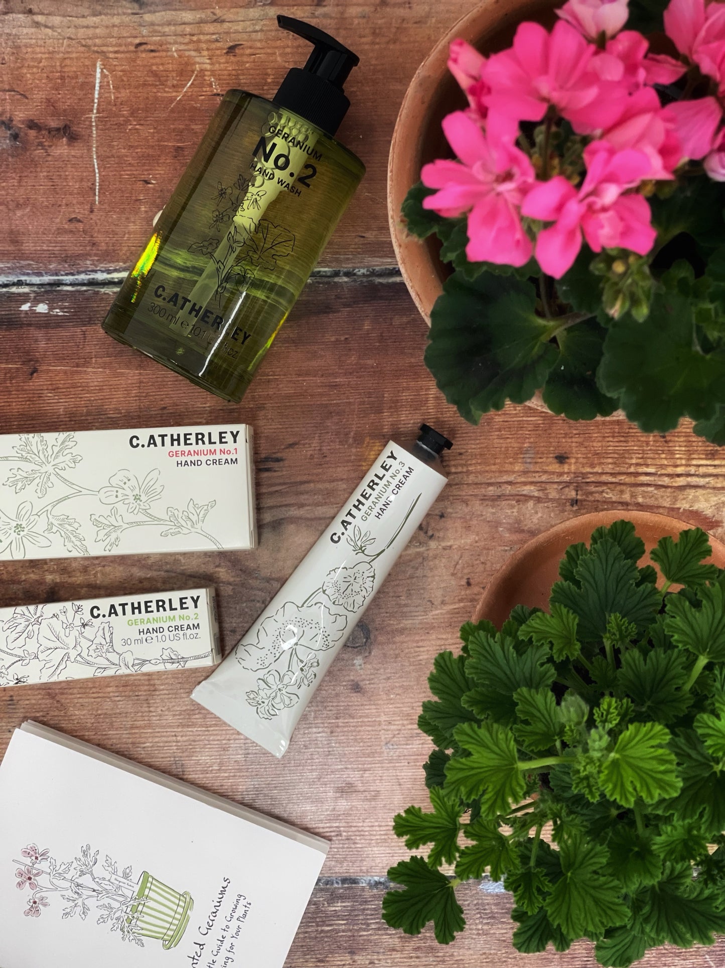 C.Atherley Hand Cream No.3 strengthening ceramide-rich hand cream that helps to nourish, protect and improve the appearance of dry, gardener’s hands. Based on the pelargonium Mabel Grey with its hint of zesty, citronella fragrance, it leaves your hands soft, moisturised, and delicately scented.