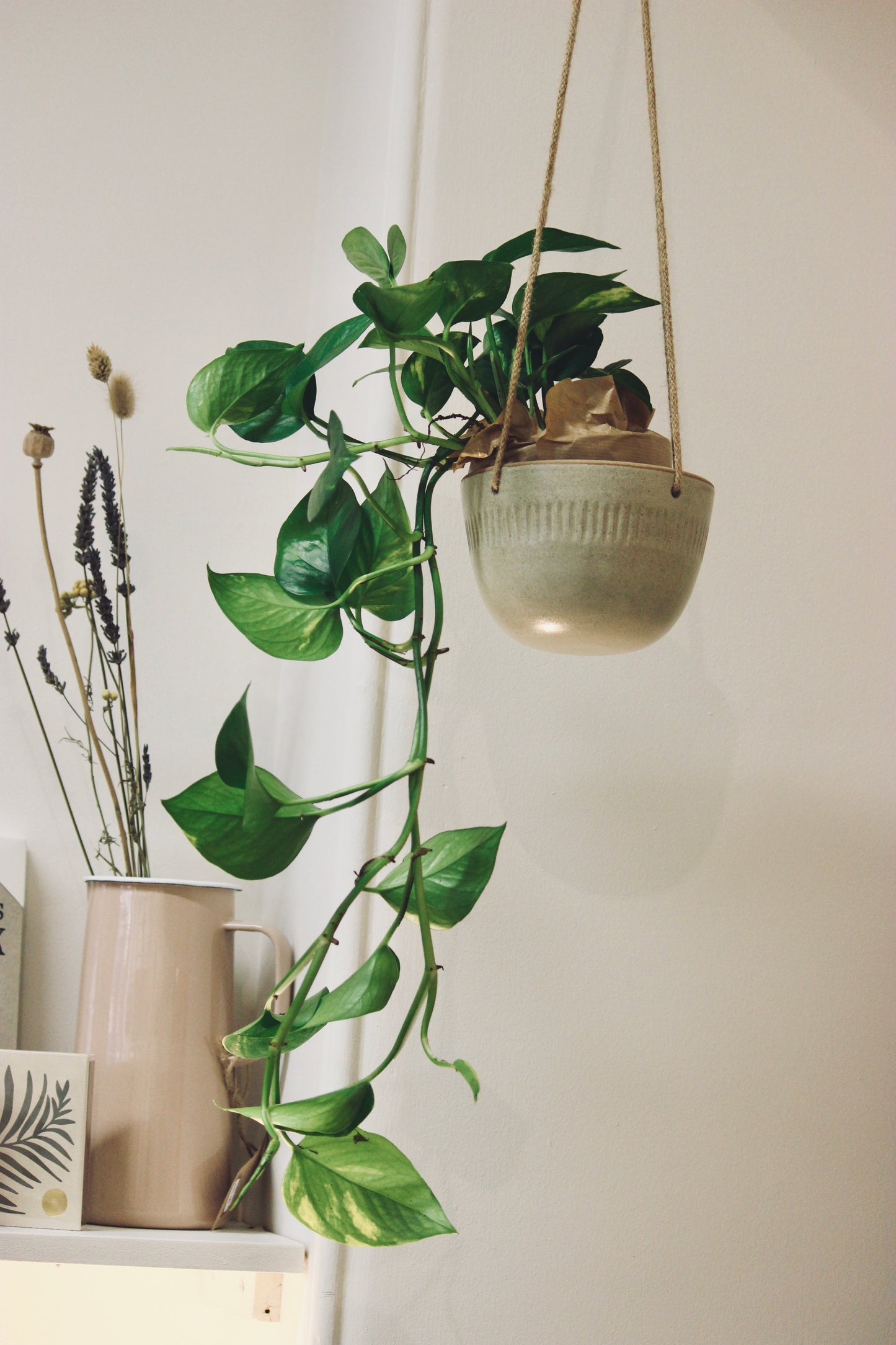 Nix Hawkins Ceramic Hanging Planter handmade in Dorset