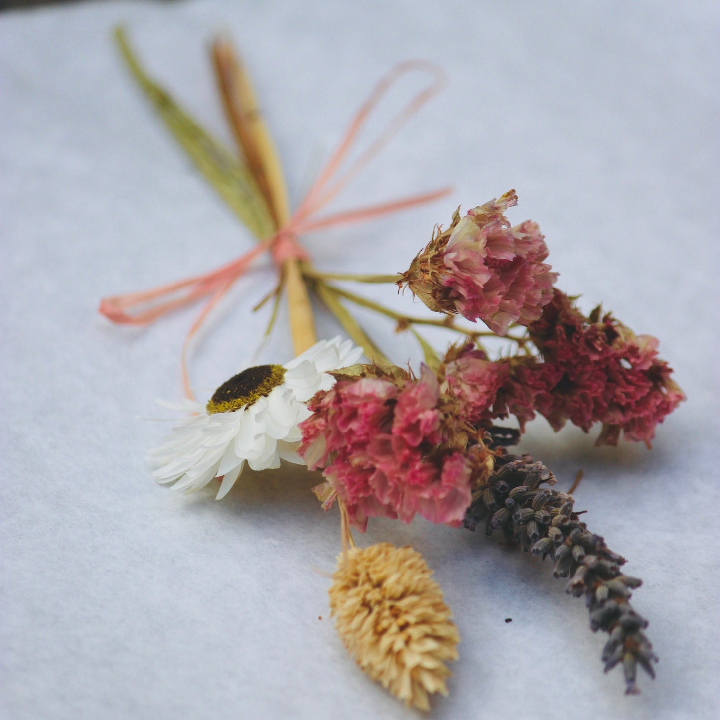 Dried flowers and leaves on a white fabric background