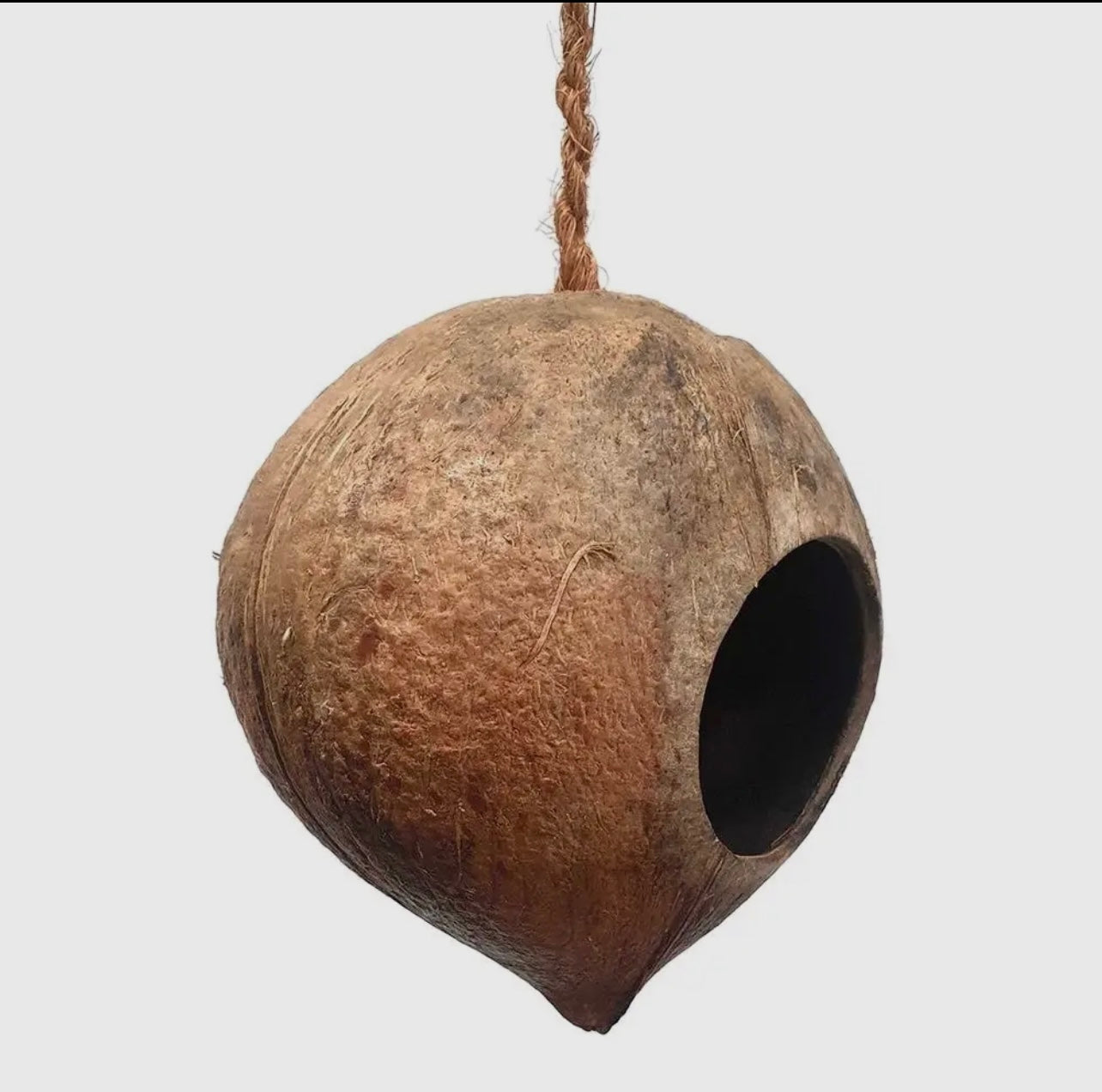 Natural Coconut Nest