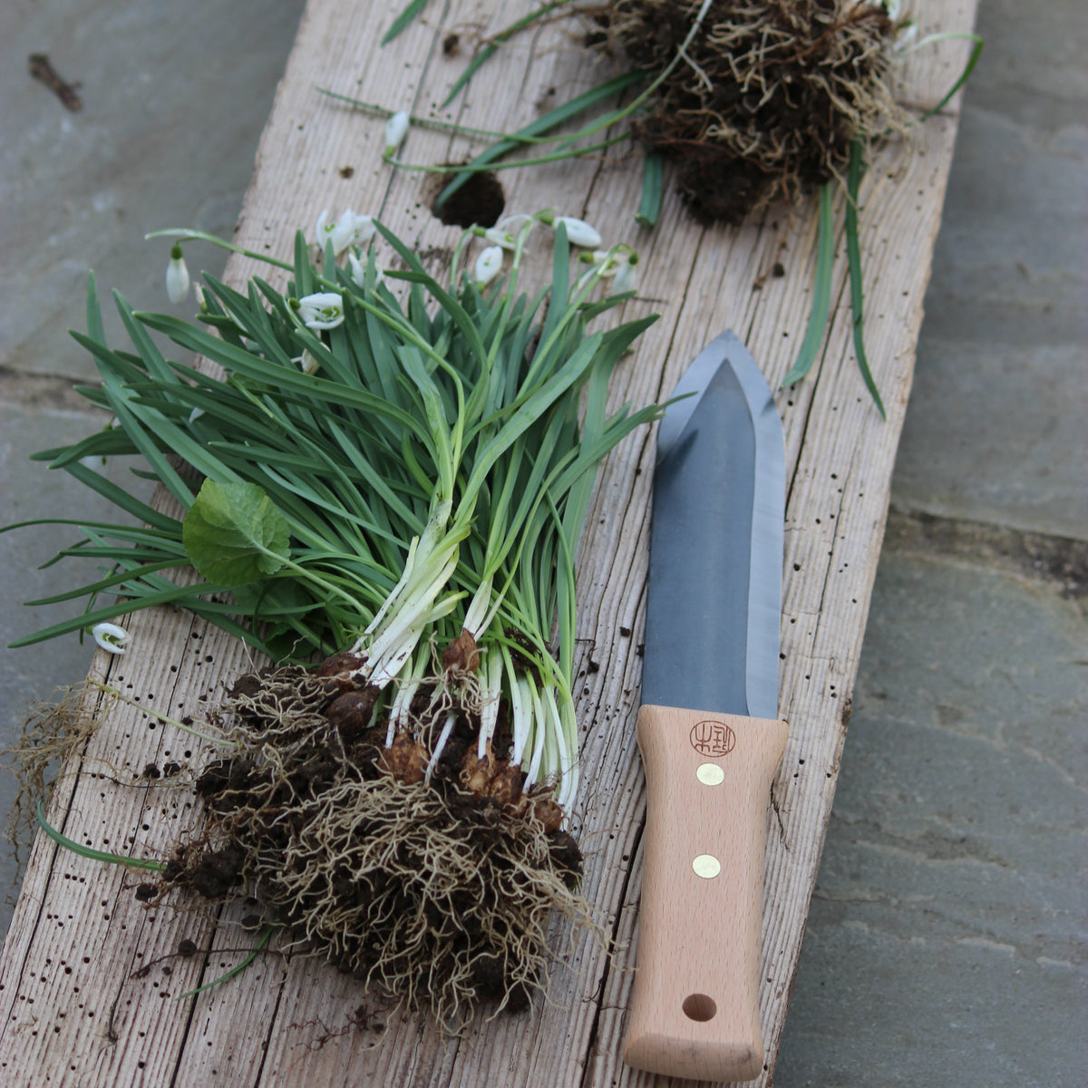 Trowel on a wooden board with plants and soil