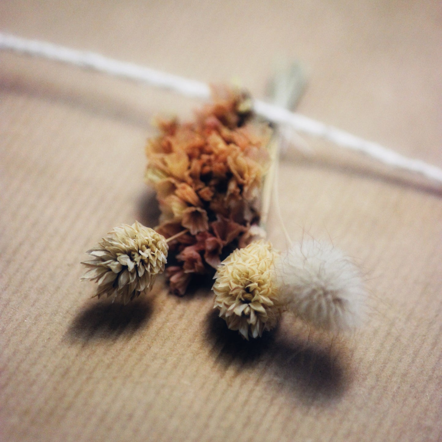 Dried flowers on Kraft gift wrap with cotton tie
