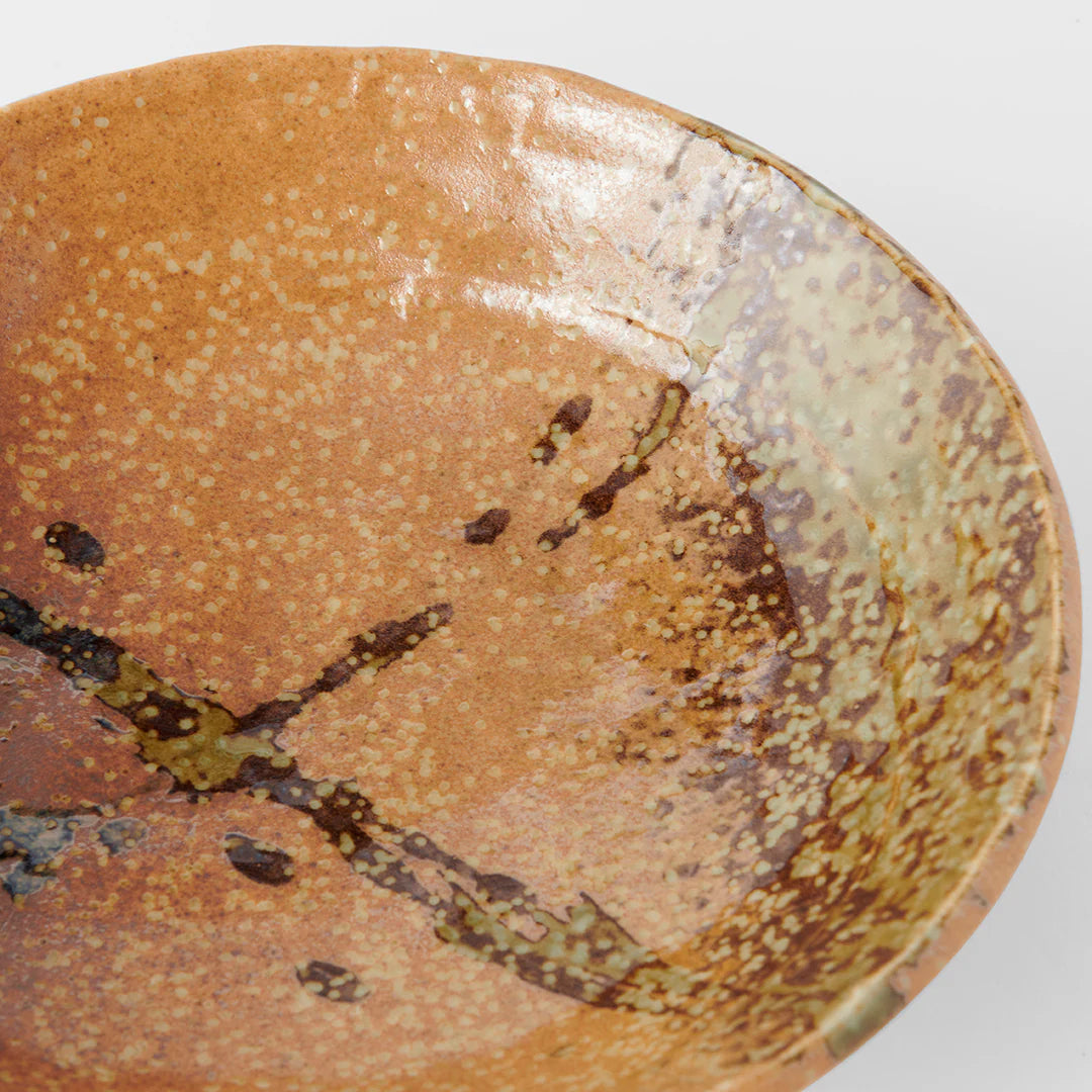 Close-up of a ceramic plate with speckled brown and beige glaze on a white background