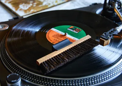 Vinyl & Phonograph Record Brush