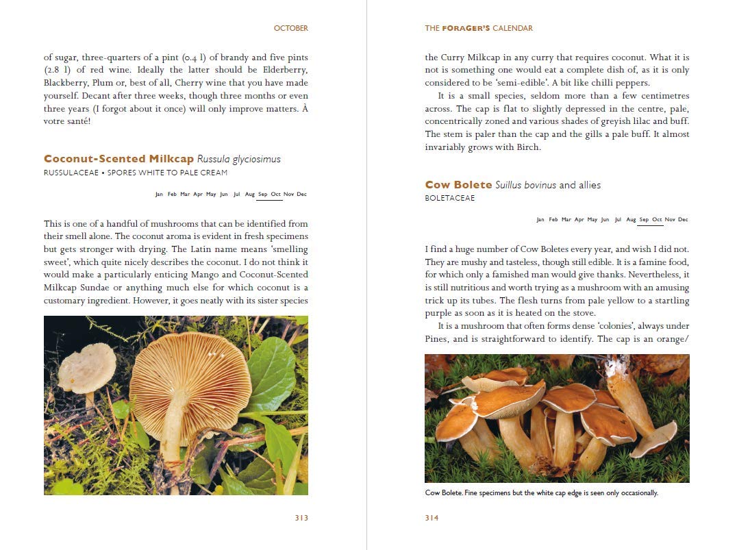 Page from a book about mushrooms with images and text on a white background