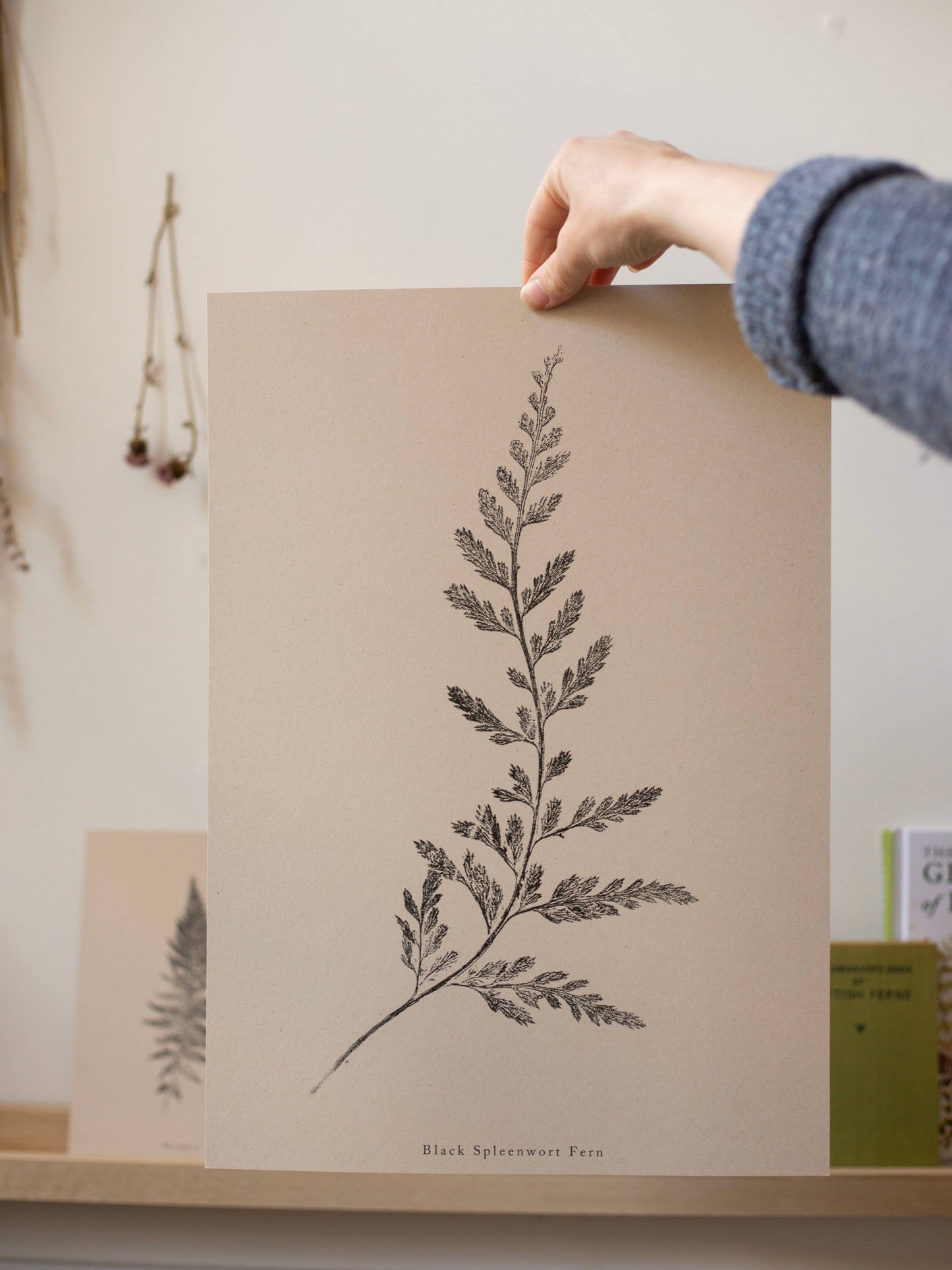 Fern Print- Botanical Art Print by Alicia Breakspear