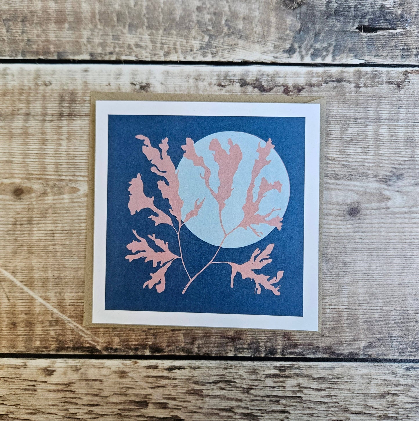 Seaweed - Single Square Greetings Card