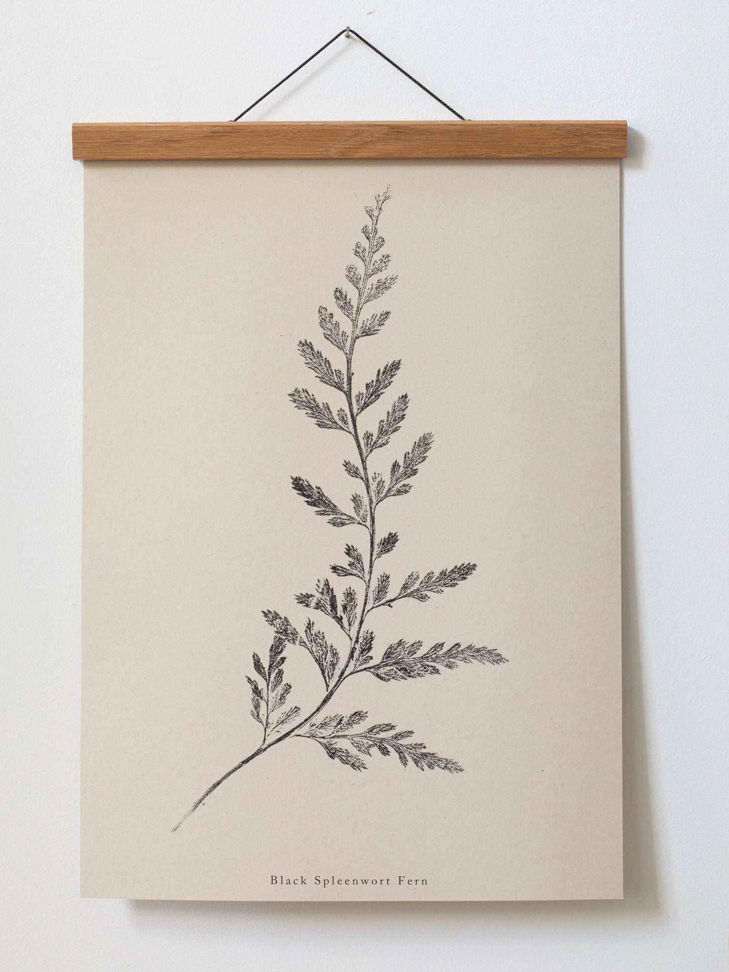 Fern Print- Botanical Art Print by Alicia Breakspear