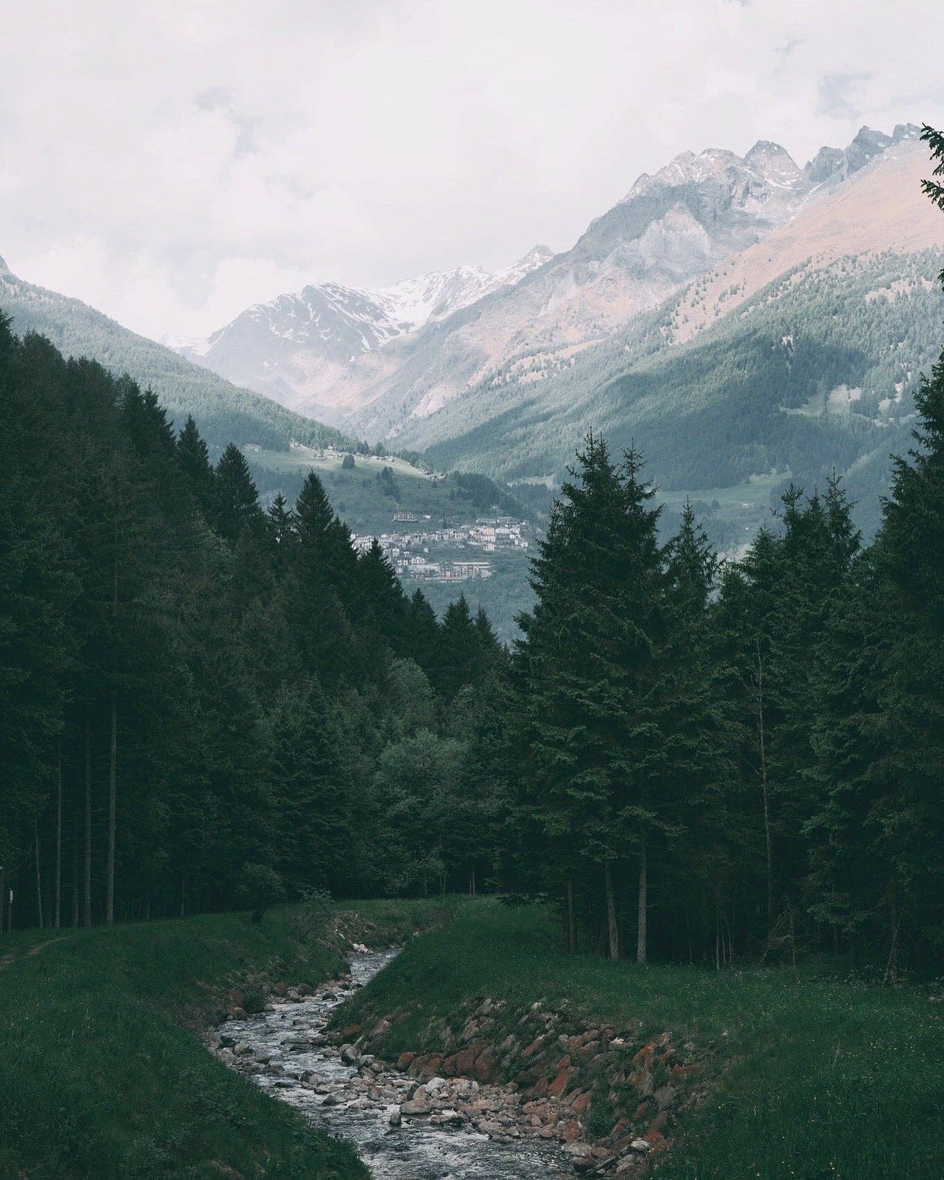 OCTO Restore (Bergamot + Mint + Rosemary) candle