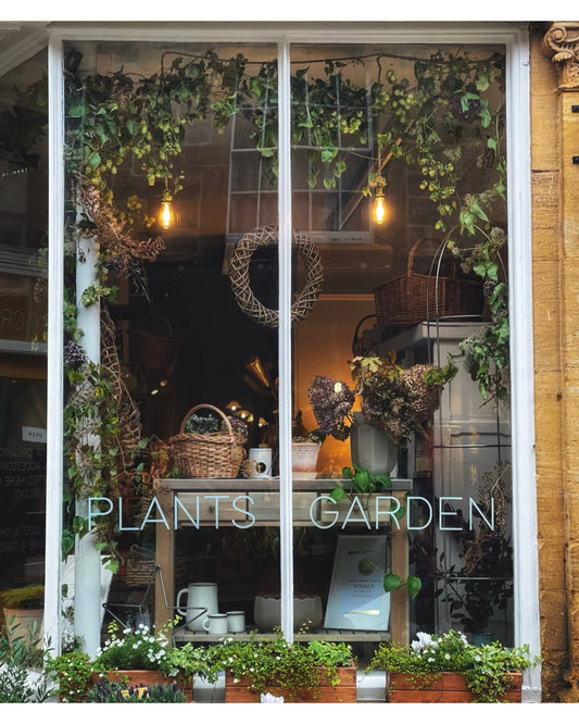 We Are One! Celebrating The Country Crib's First Year