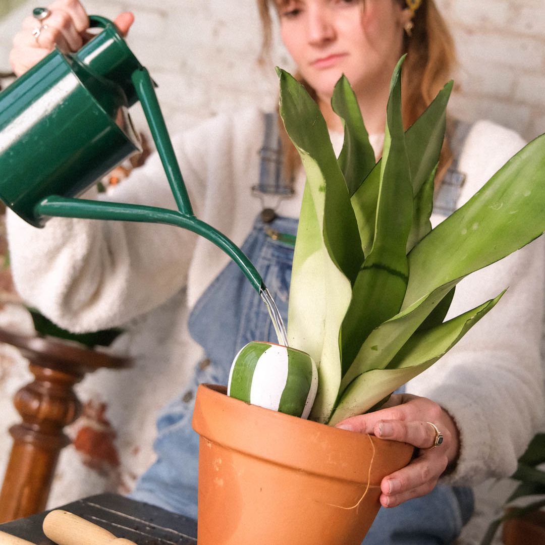 Pepin: Natural Products for the Plant You Love