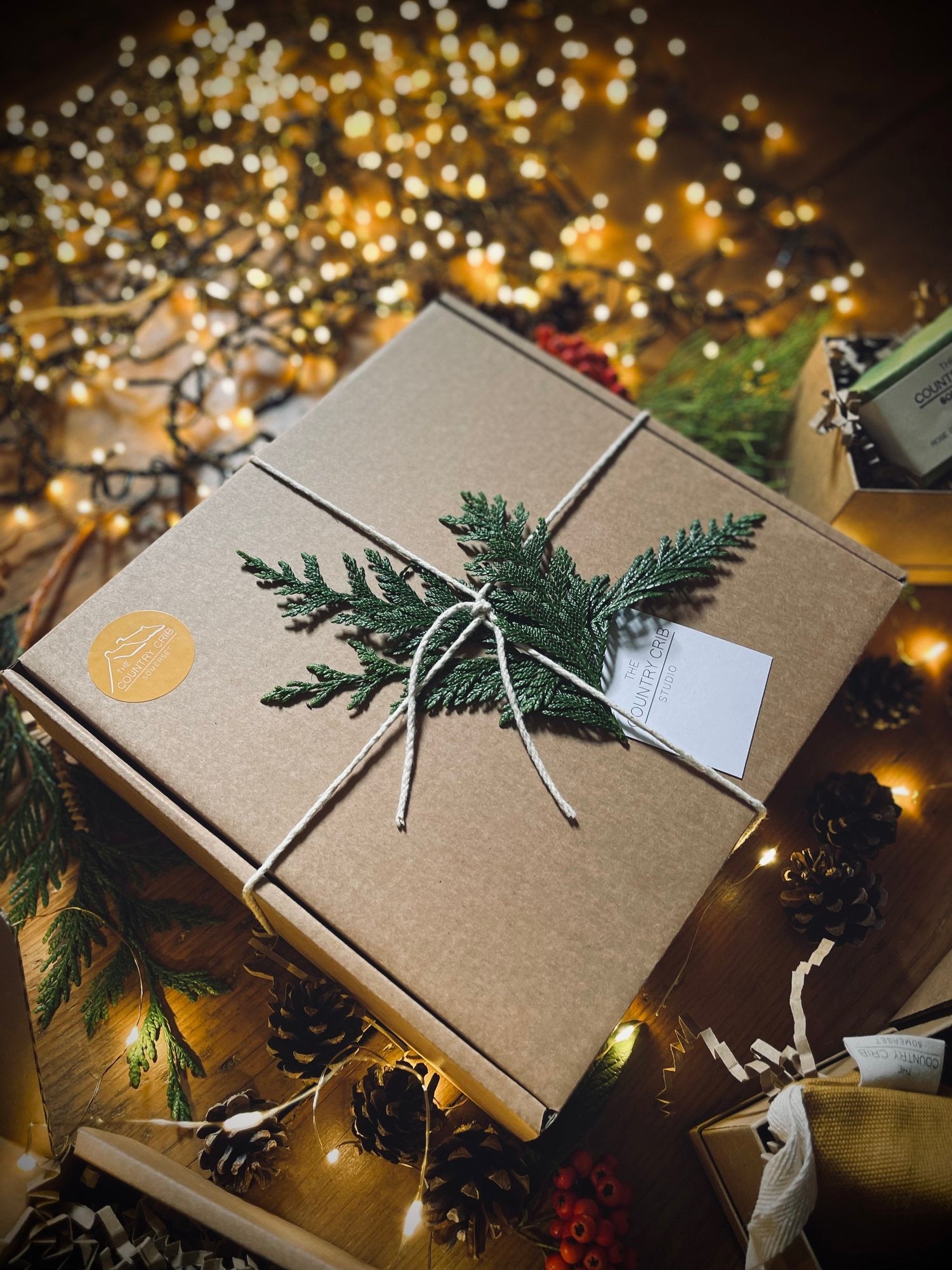 A Greener Christmas: Thoughtful and Sustainable Gift Ideas