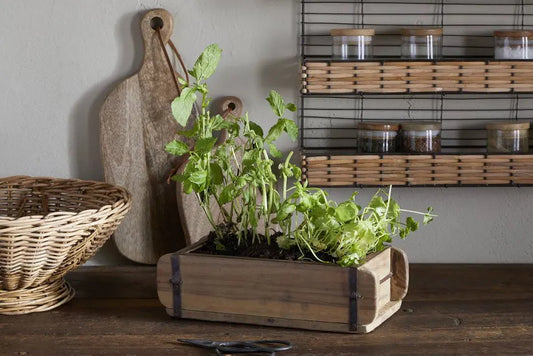Nkuku Dudha Reclaimed Brick Box - Natural | The Country Crib