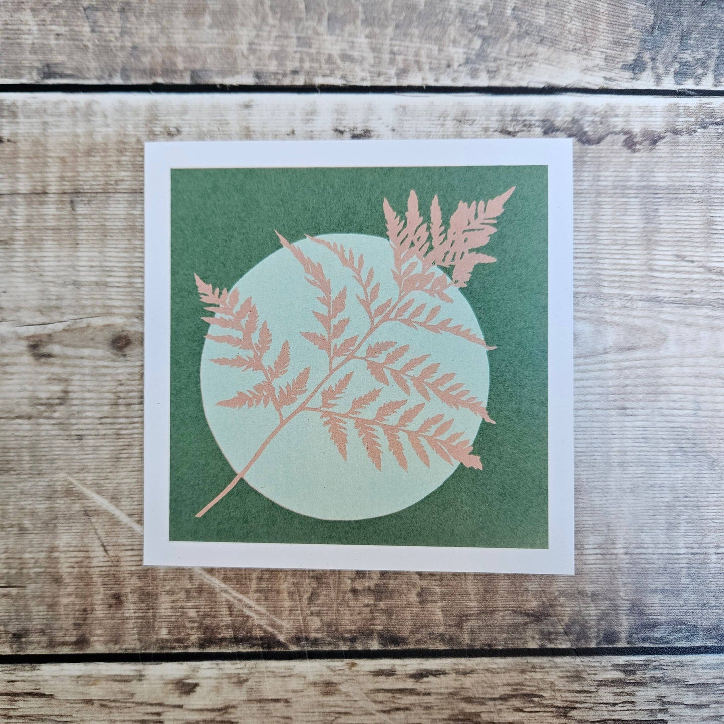 Fern - Single Square Greetings Card by Flotsam Prints