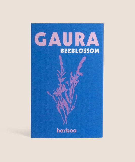 Gaura Beeblossom