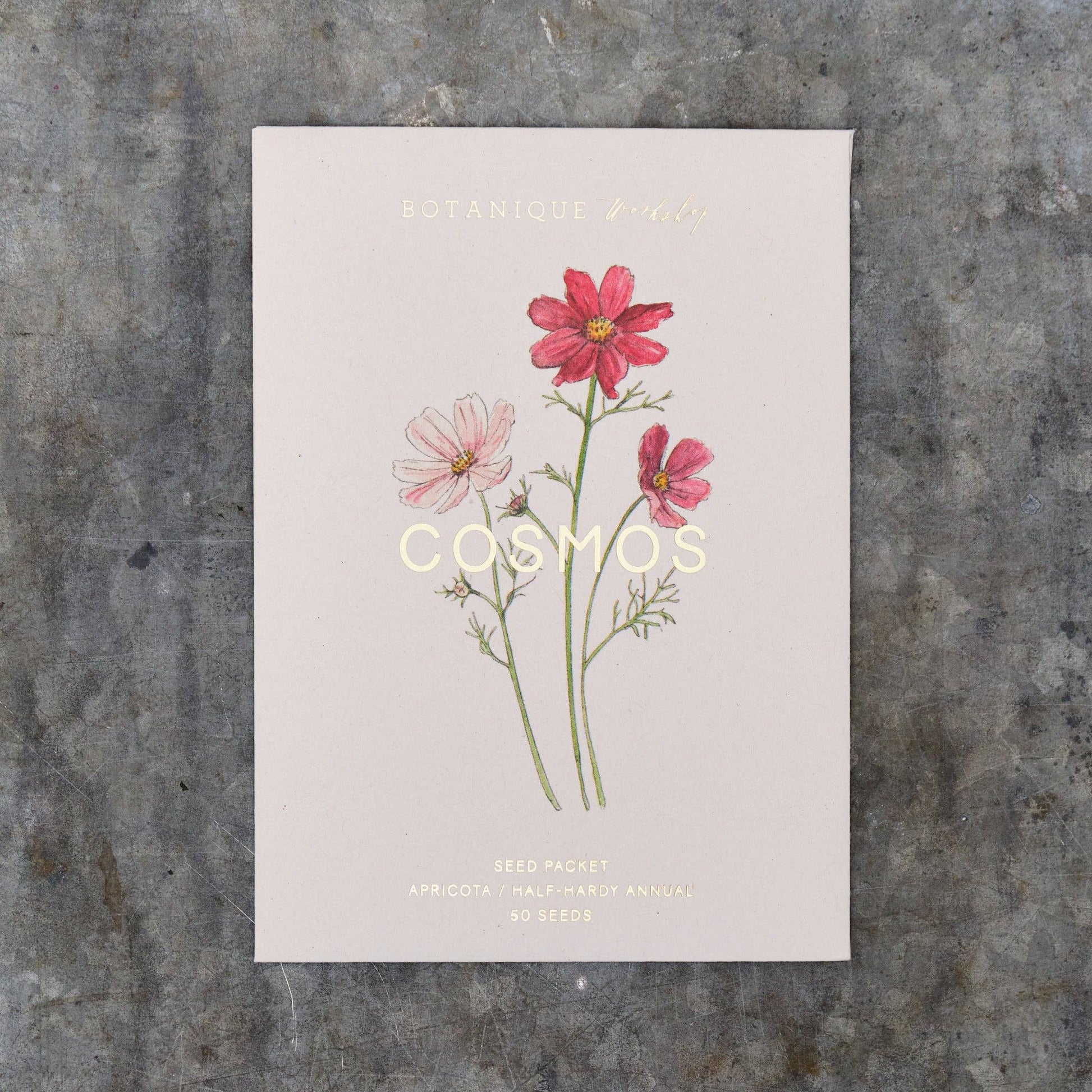 Card with illustrations of cosmos flowers on a textured surface