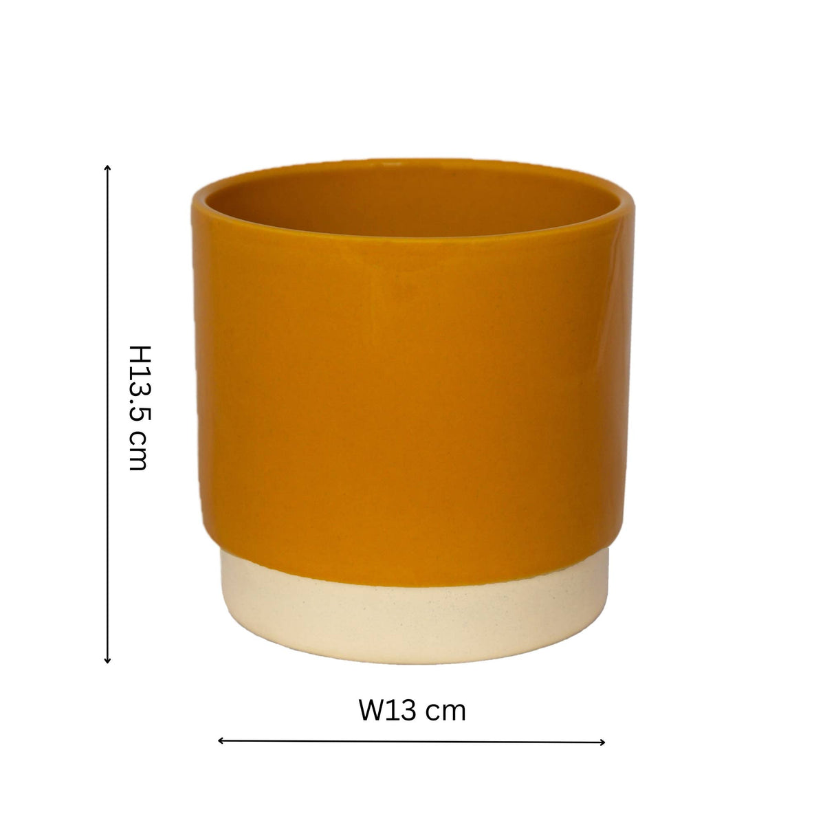 Enos Ceramic Indoor Plant Pot - Large