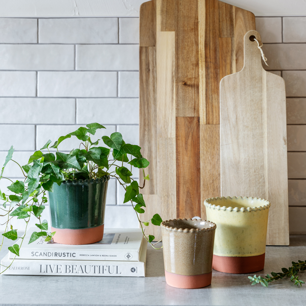 Adeline Beaded Edge Planter - Large