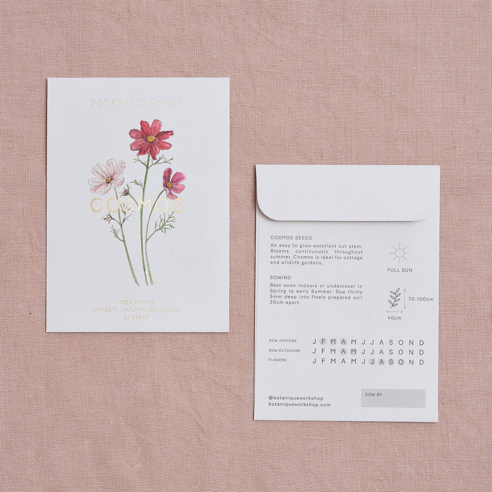 Floral seed packet and envelope on a textured pink background