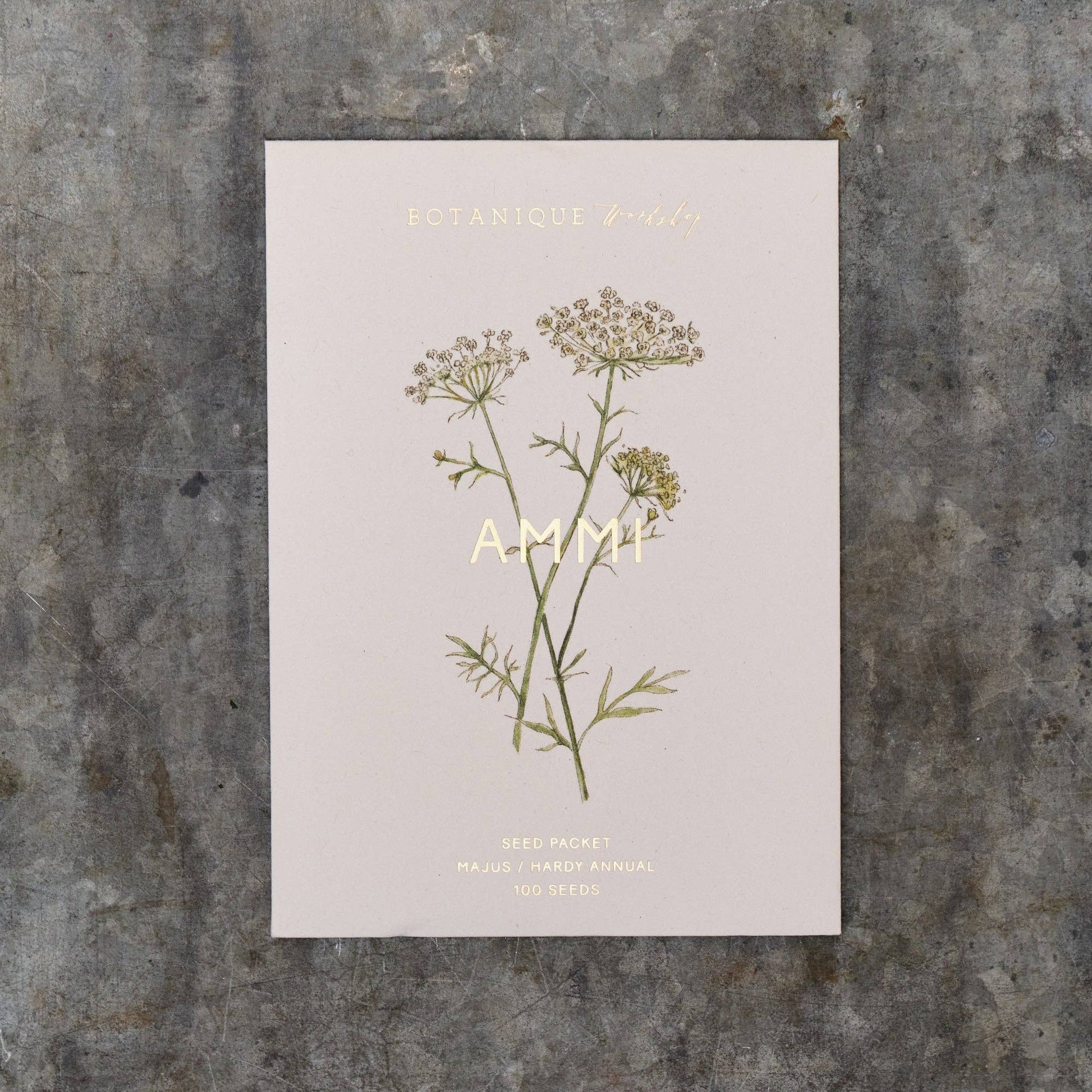 Poster with botanical illustration of a plant and text on a textured surface