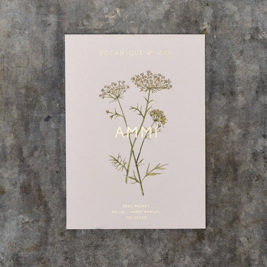 Poster with botanical illustration of a plant and text on a textured surface