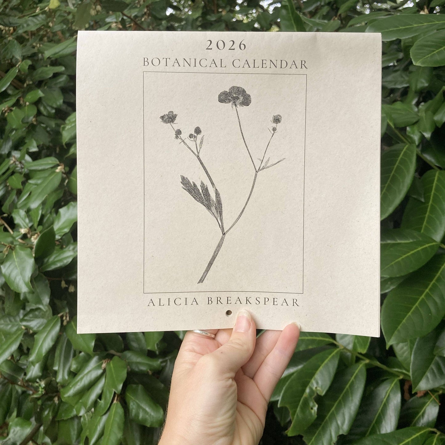 2026 Botanical Art Wall Calendar 