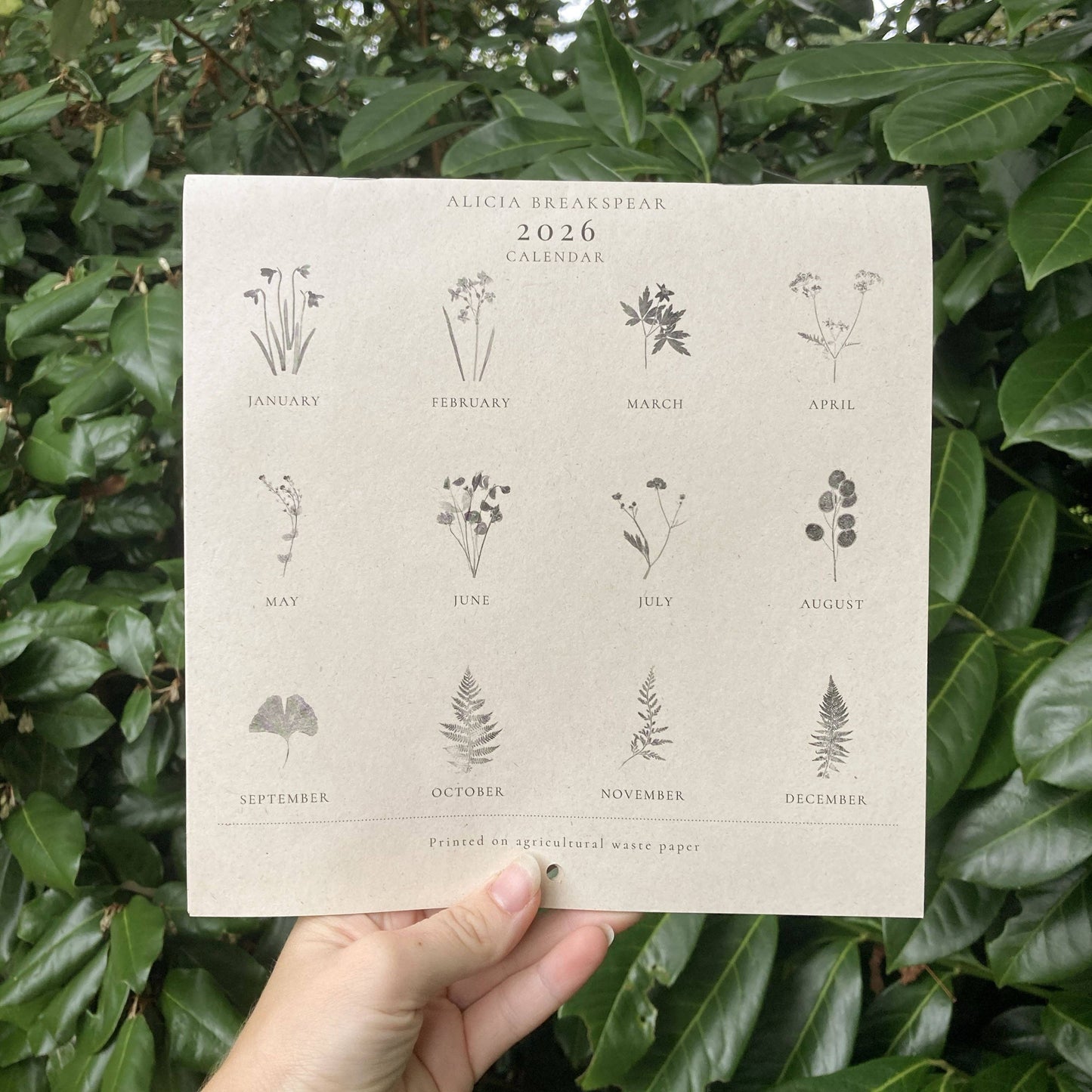 2026 Botanical Art Wall Calendar 
