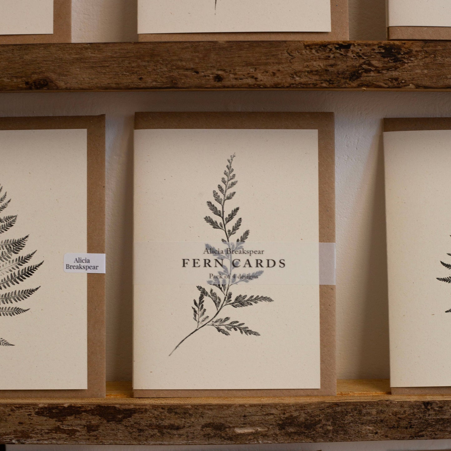 Fern Greeting Cards Pack of 4 Designs 