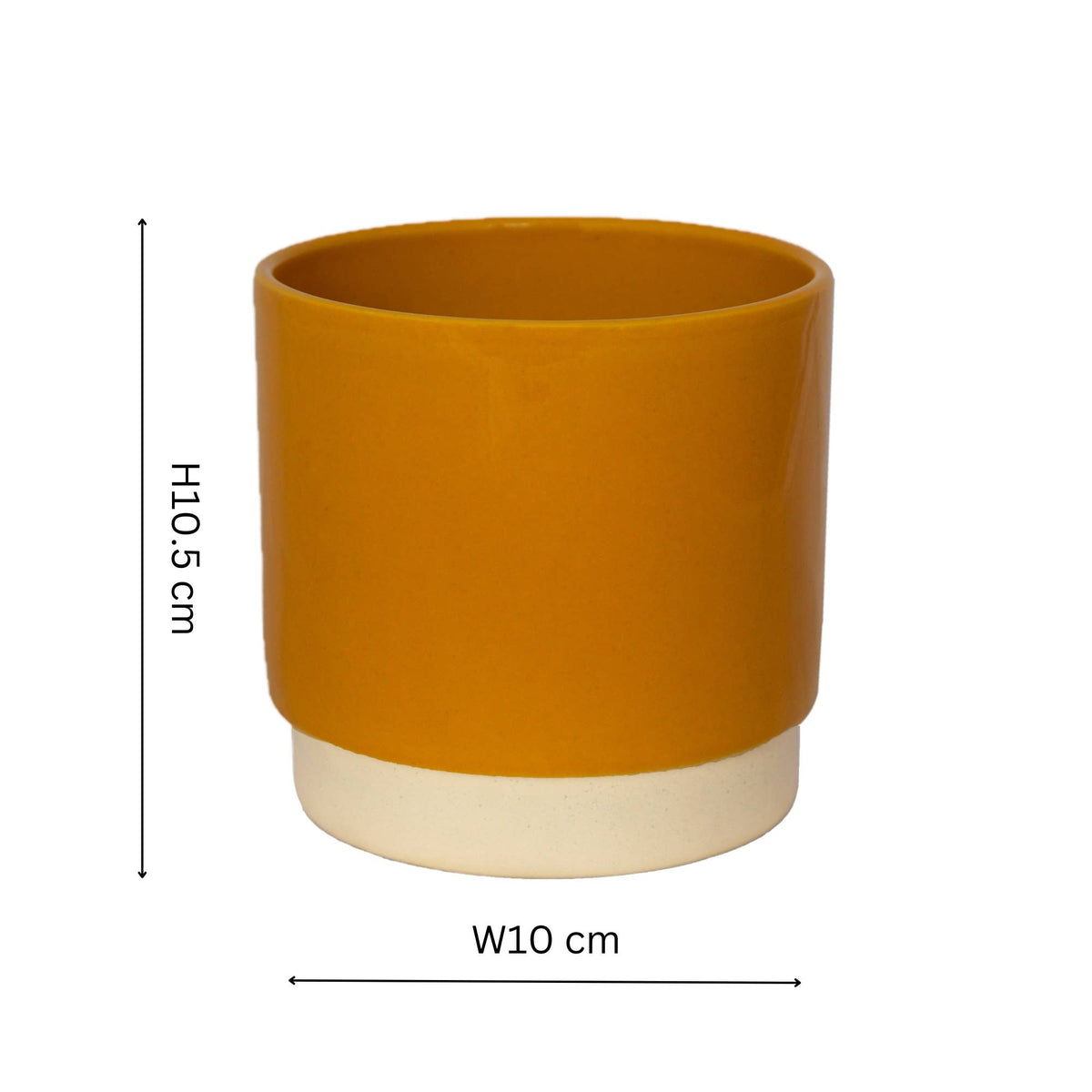 Enos Ceramic Indoor Plant Pot - Small