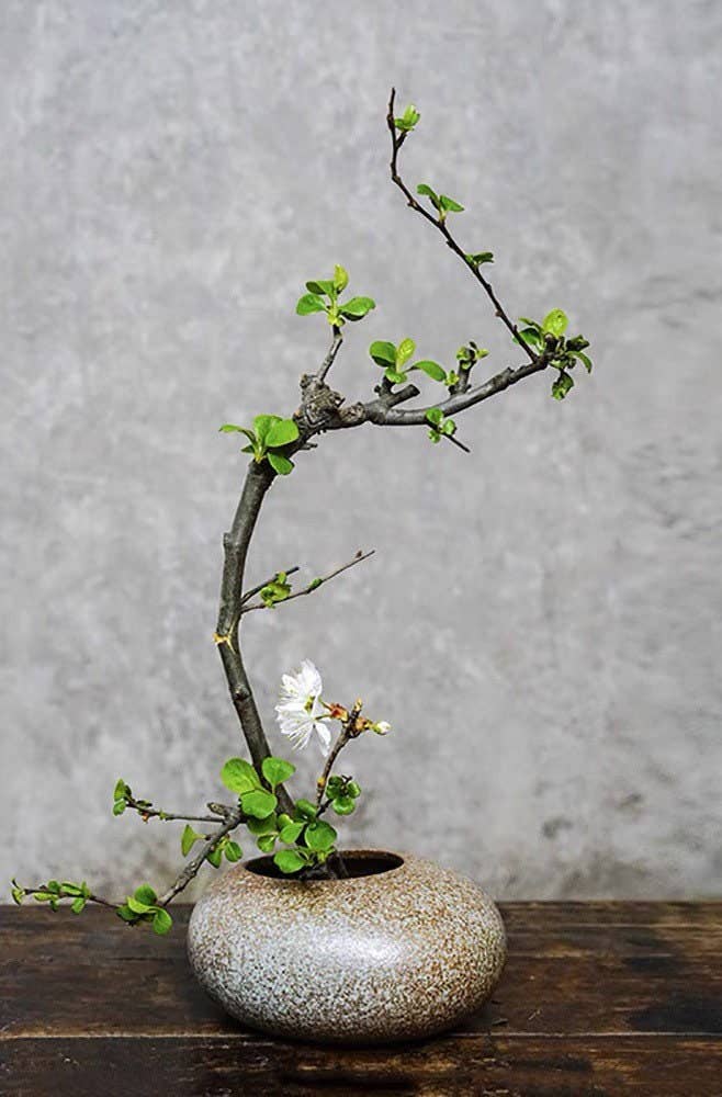 Japanese Ikebana Vase