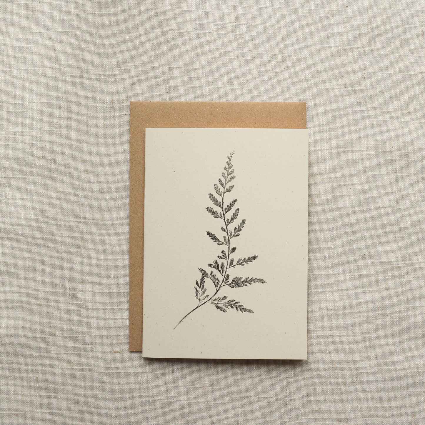 Fern Greeting Cards Pack of 4 Designs 