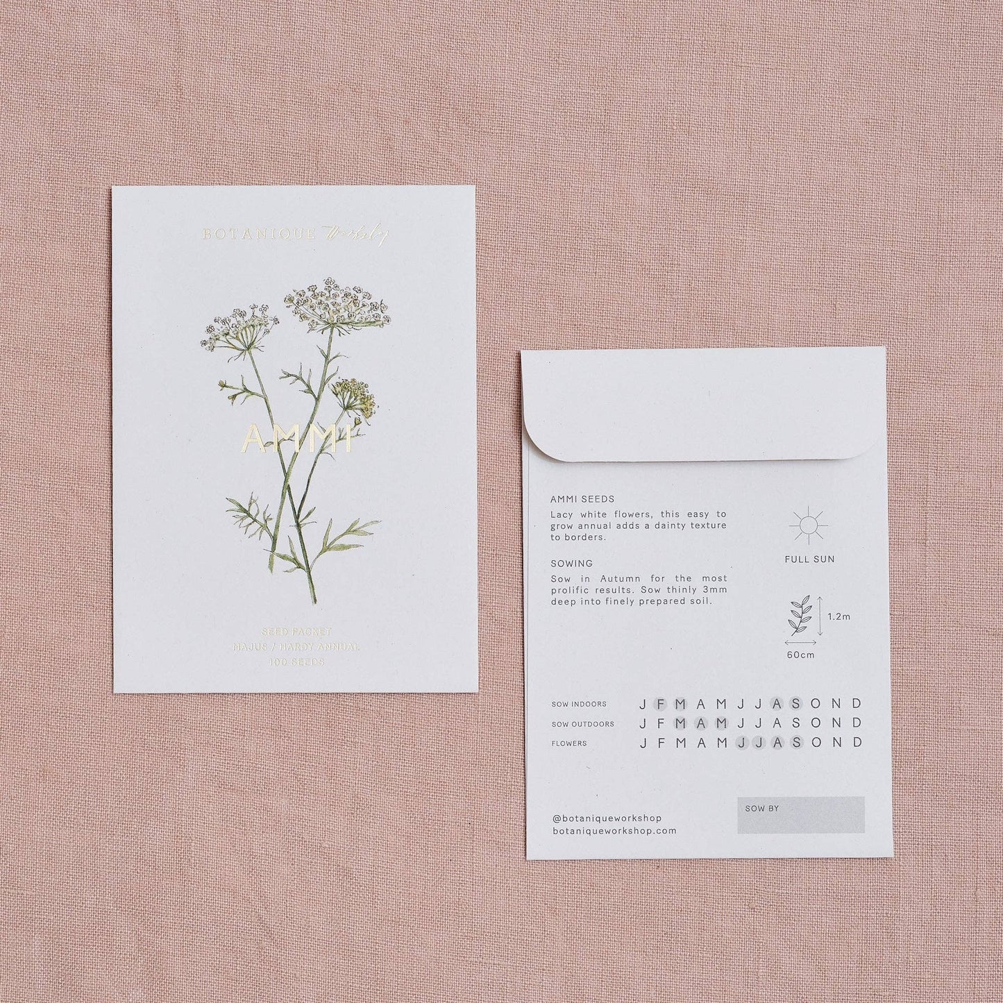 Ammi Majus Seeds