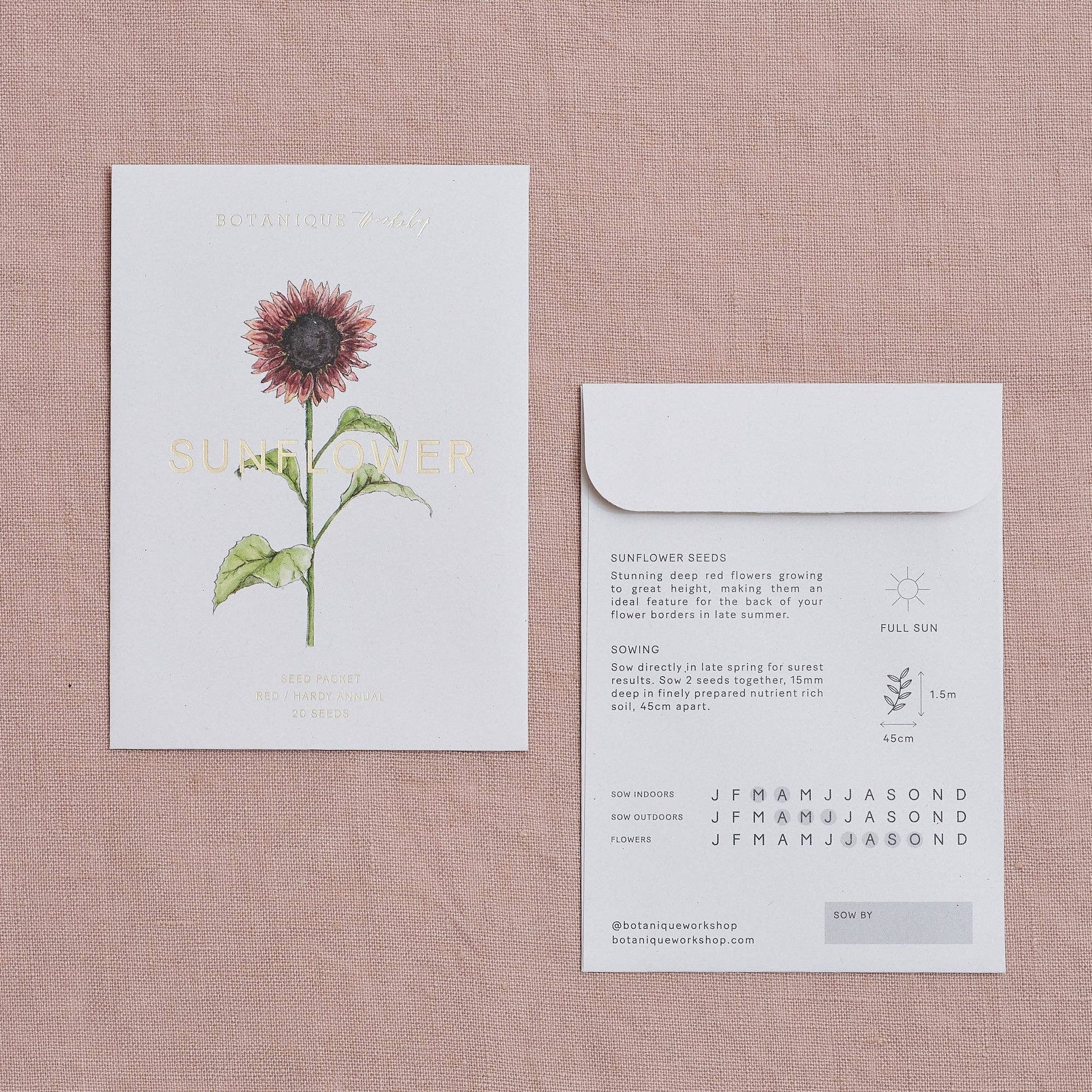Seed packet with sunflower illustration on a textured pink background