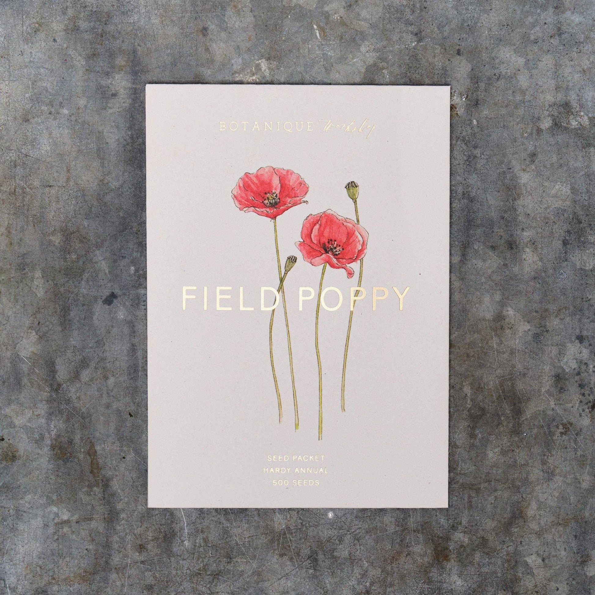 Seed packet with red poppies and 'Field Poppy' text on a textured gray background