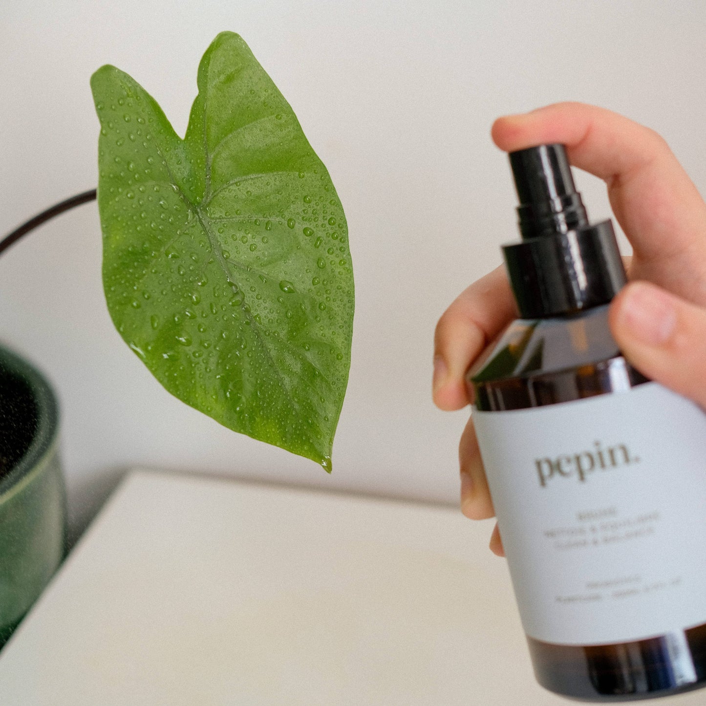 Cleaning Brume (Plant Mist) by Pepin