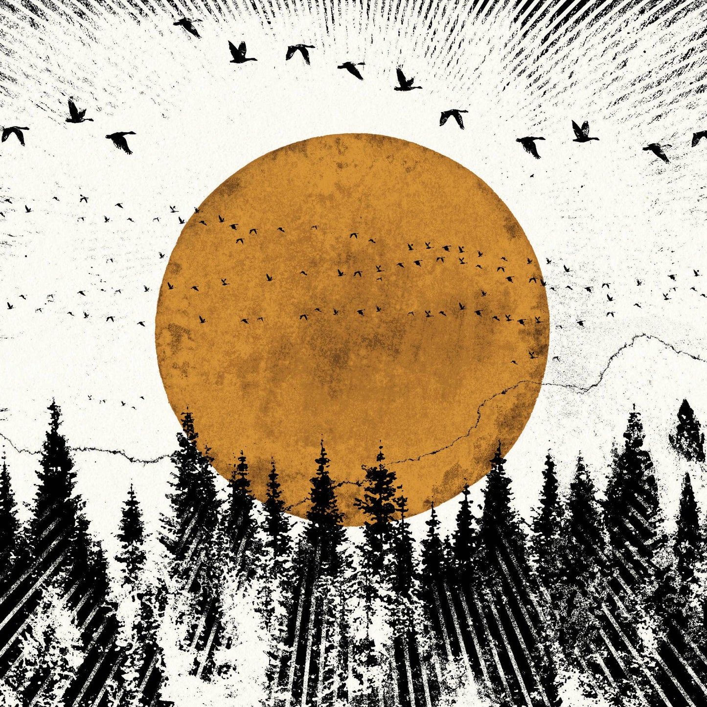 Forest View Individual Card by Luke Holcombe