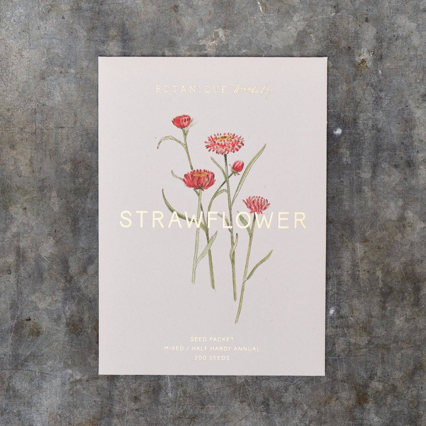 Strawflower Seeds packet with strawflower illustration on a textured surface