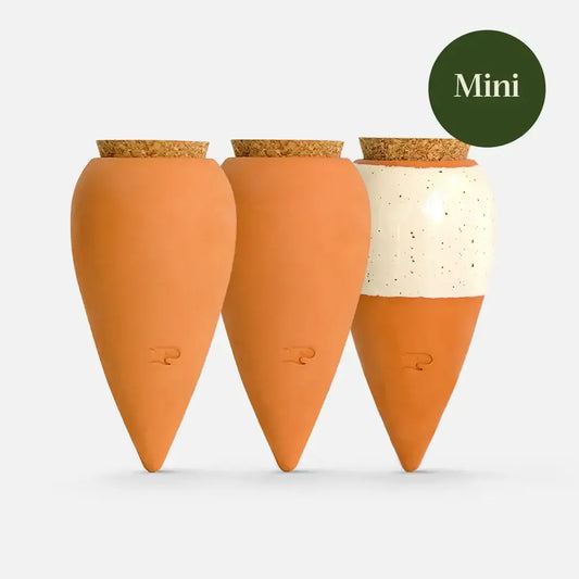 Box Trio Mini Ollas by Pepin